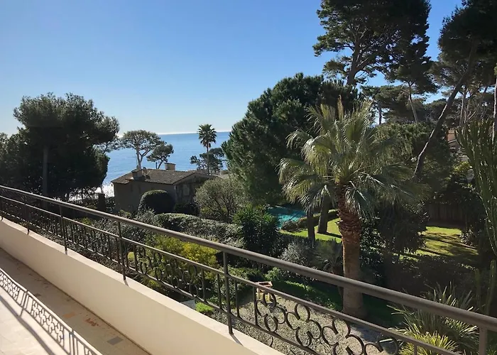 Palmiers Et Pins Face A La Dans Classee Du Cap D * 昂蒂布