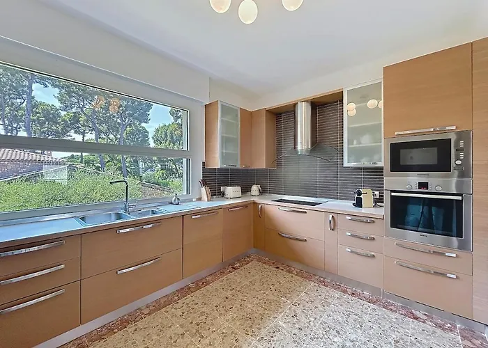 Palmiers Et Pins Face A La Dans Classee Du Cap D * Antibes