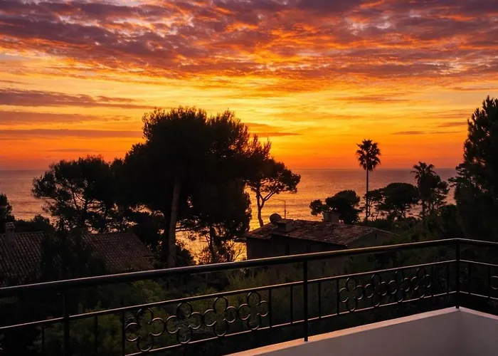 Palmiers Et Pins Face A La Dans Classee Du Cap D *